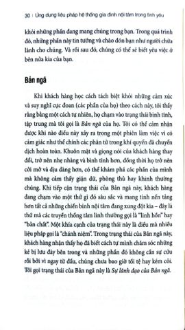 Ứng Dụng Liệu Pháp Hệ Thống Gia Đình Nội Tâm Trong Tình Yêu - Richard C. Schwartz, Ph.D. 