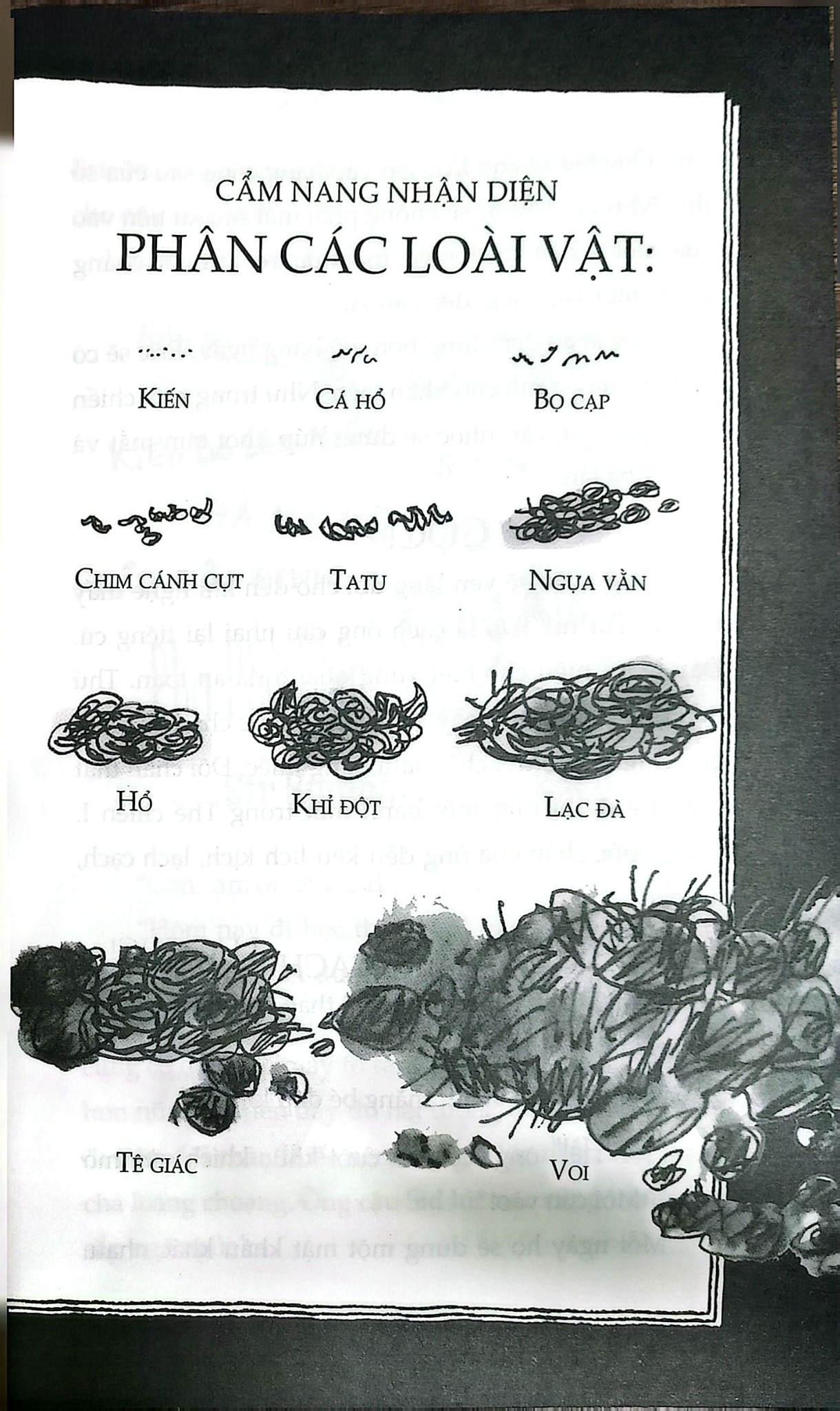 Mật Hiệu Quả Chuối -  
David Walliams