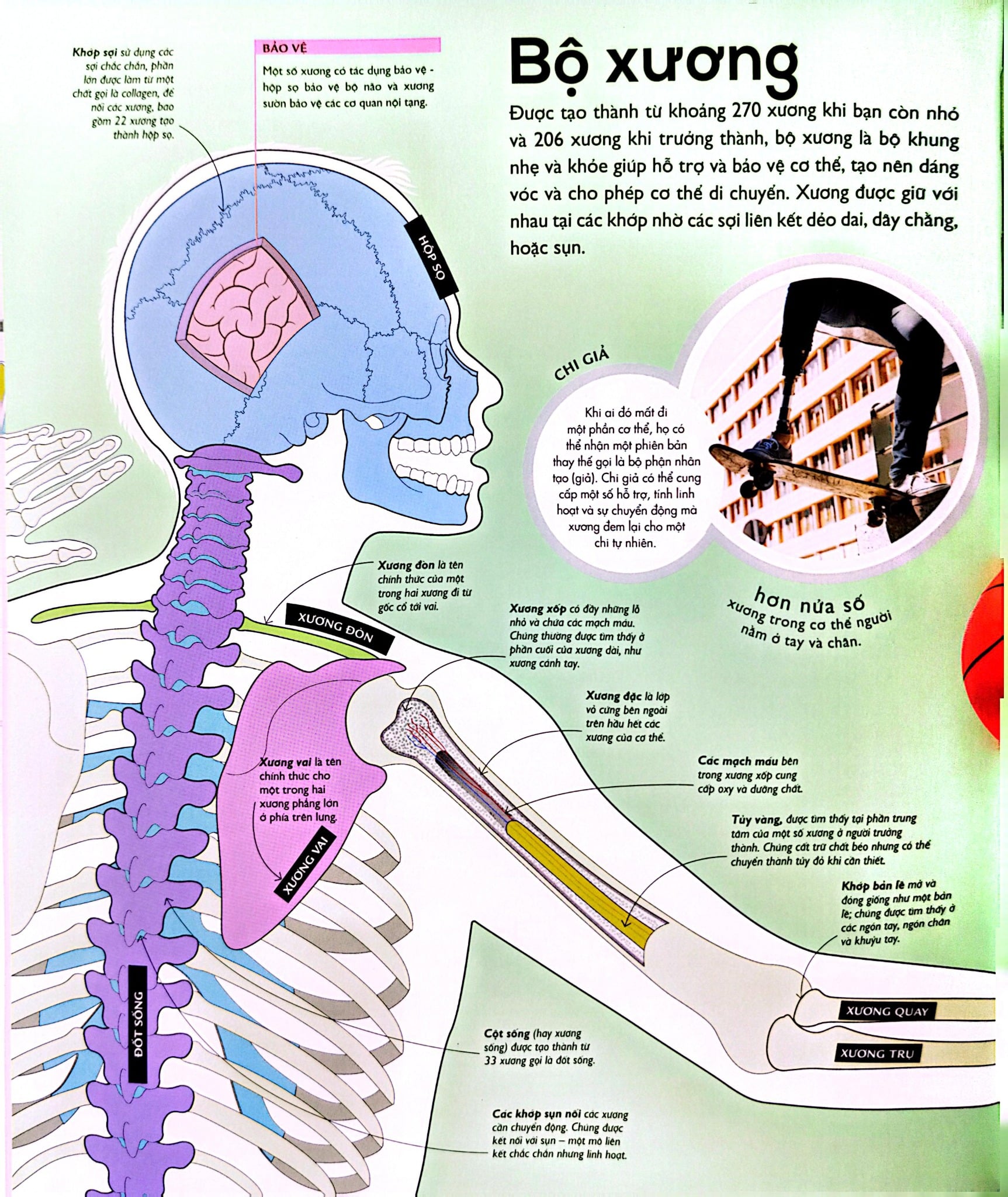 Vạn Vật Vận Hành - How Everything Works - DK