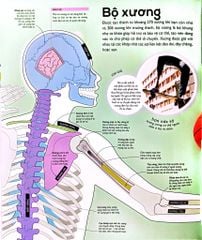 Vạn Vật Vận Hành - How Everything Works - DK
