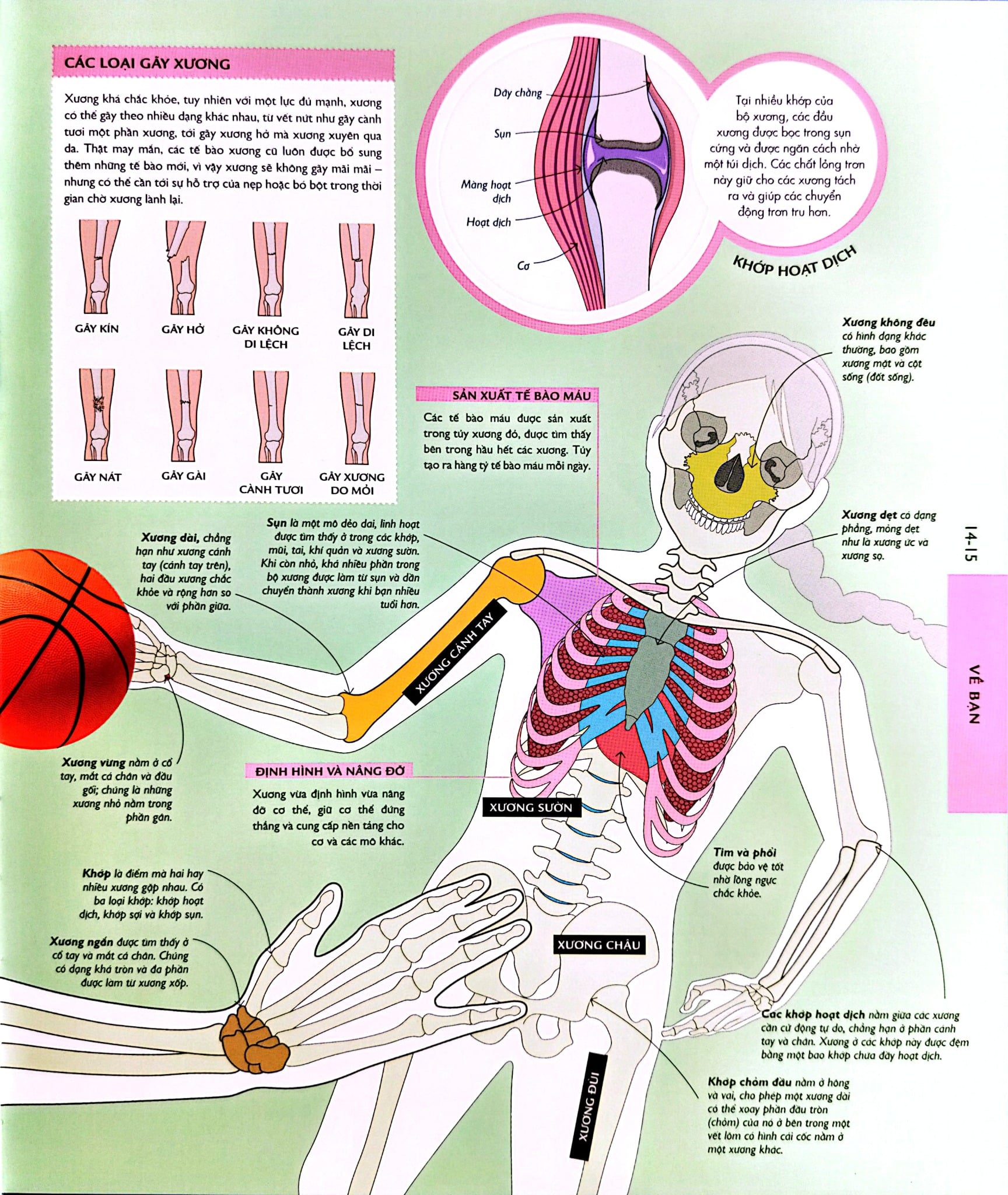 Vạn Vật Vận Hành - How Everything Works - DK