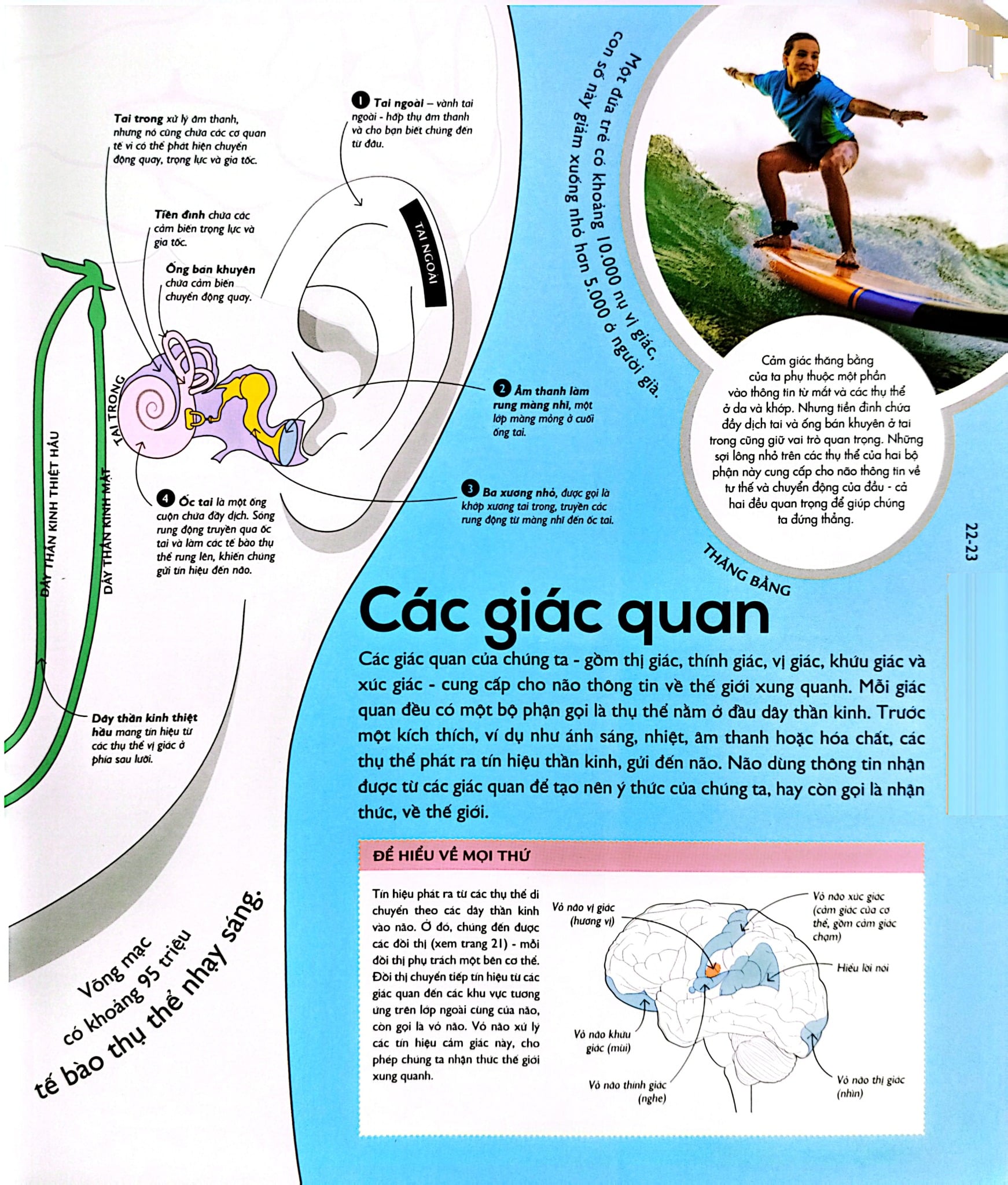 Vạn Vật Vận Hành - How Everything Works - DK