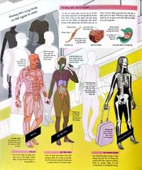 Vạn Vật Vận Hành - How Everything Works - DK