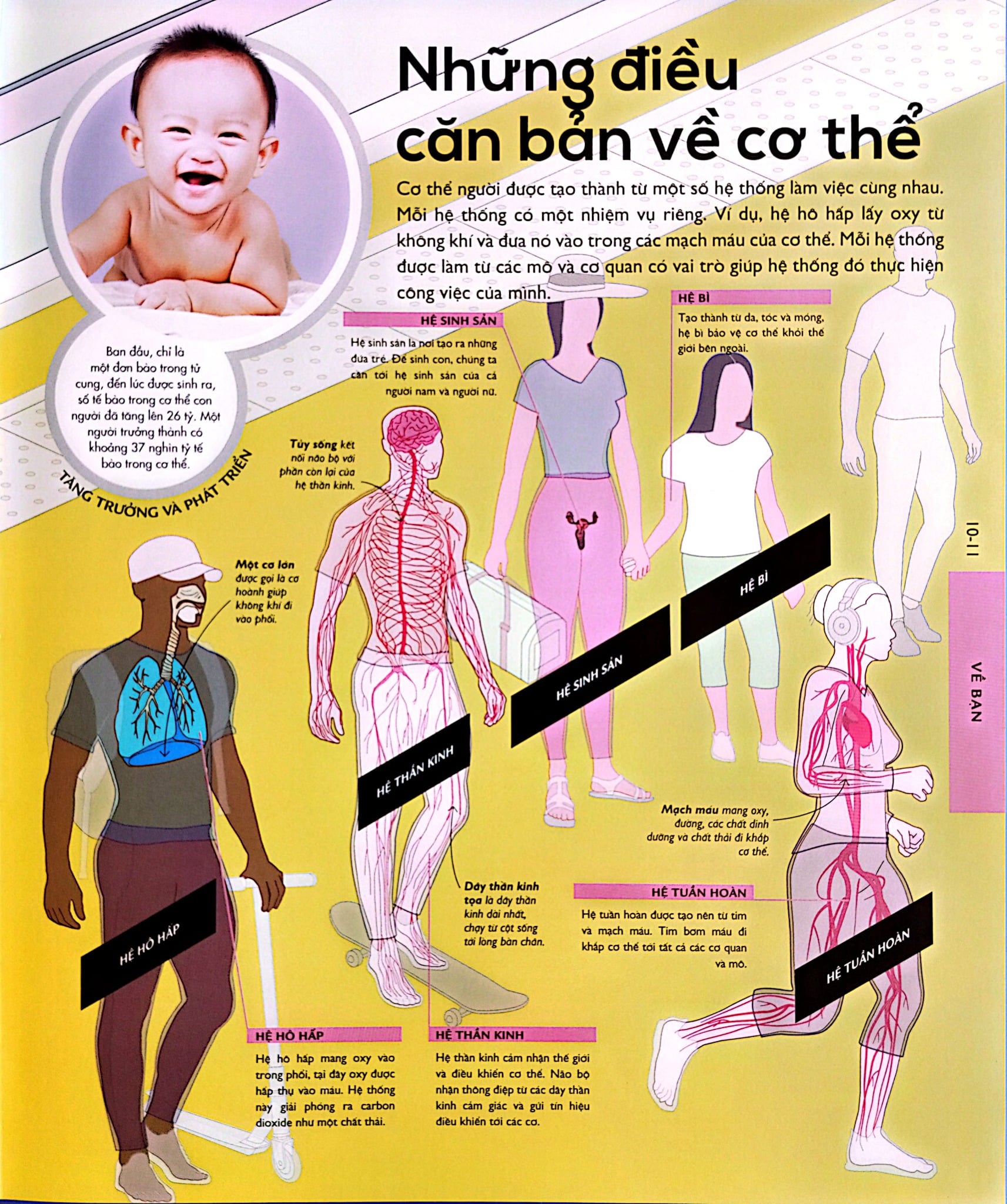 Vạn Vật Vận Hành - How Everything Works - DK