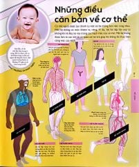 Vạn Vật Vận Hành - How Everything Works - DK