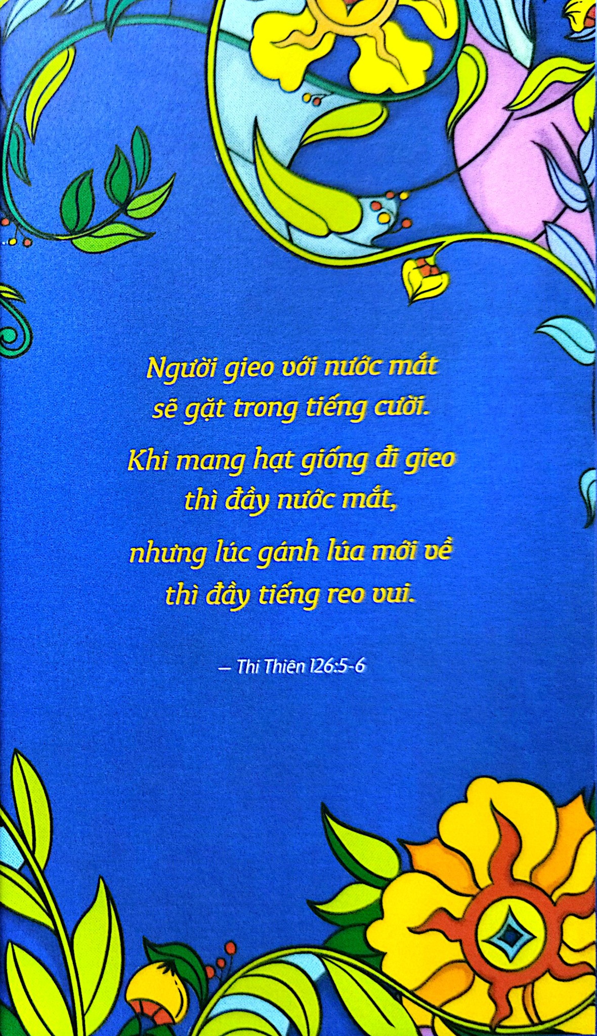Combo 8 Cuốn Bộ Sách The Way Của The Wanderers (Sách Song Ngữ) - The Wanderers