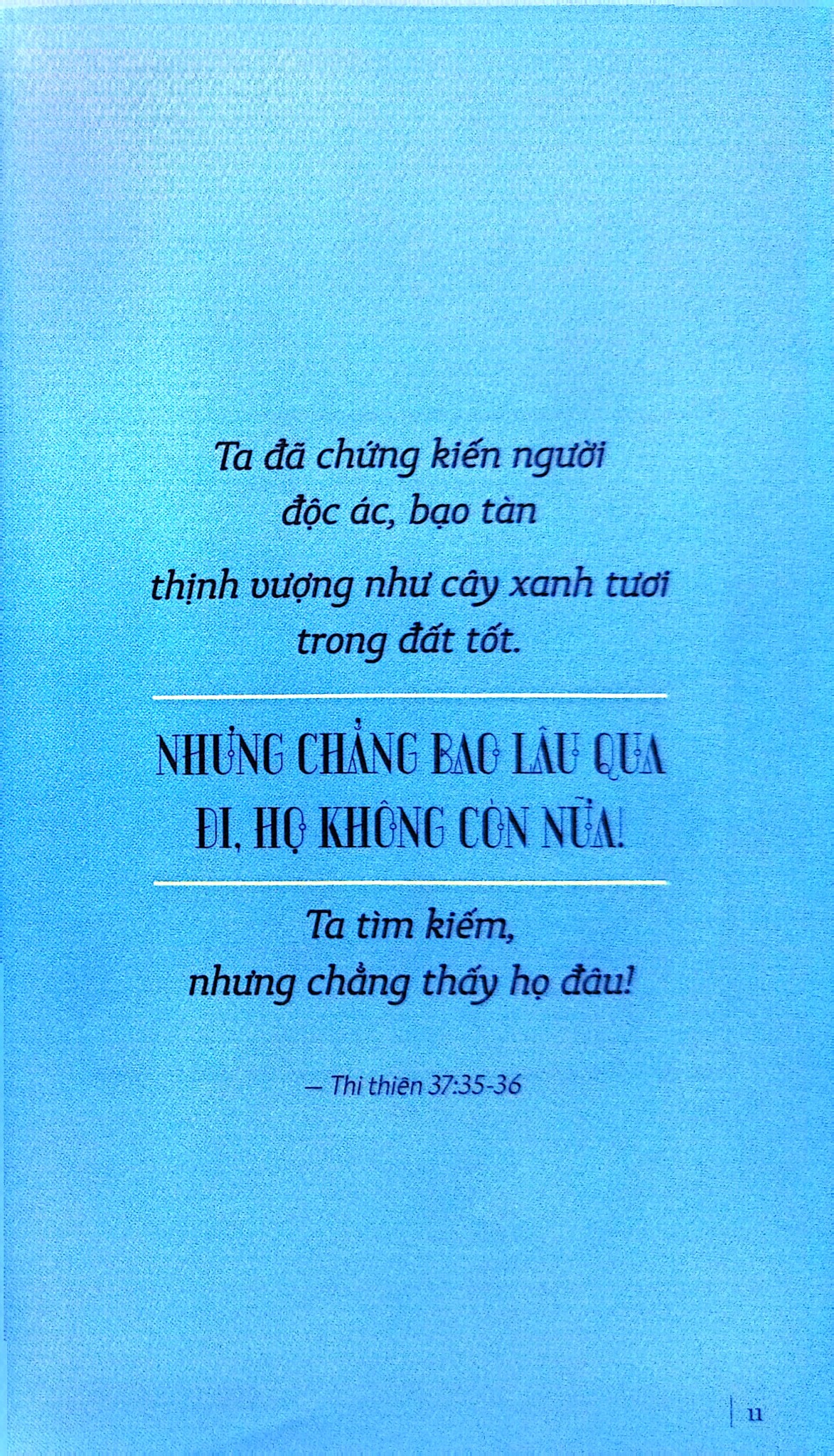 Combo 8 Cuốn Bộ Sách The Way Của The Wanderers (Sách Song Ngữ) - The Wanderers