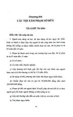 Bộ 10 Quyển Bình luận Bộ Luật Hình Sự Năm 2015 - Đinh Văn Quế