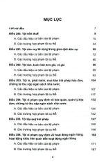 Bộ 10 Quyển Bình luận Bộ Luật Hình Sự Năm 2015 - Đinh Văn Quế
