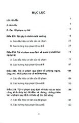 Bộ 10 Quyển Bình luận Bộ Luật Hình Sự Năm 2015 - Đinh Văn Quế