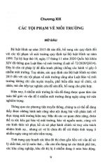 Bộ 10 Quyển Bình luận Bộ Luật Hình Sự Năm 2015 - Đinh Văn Quế