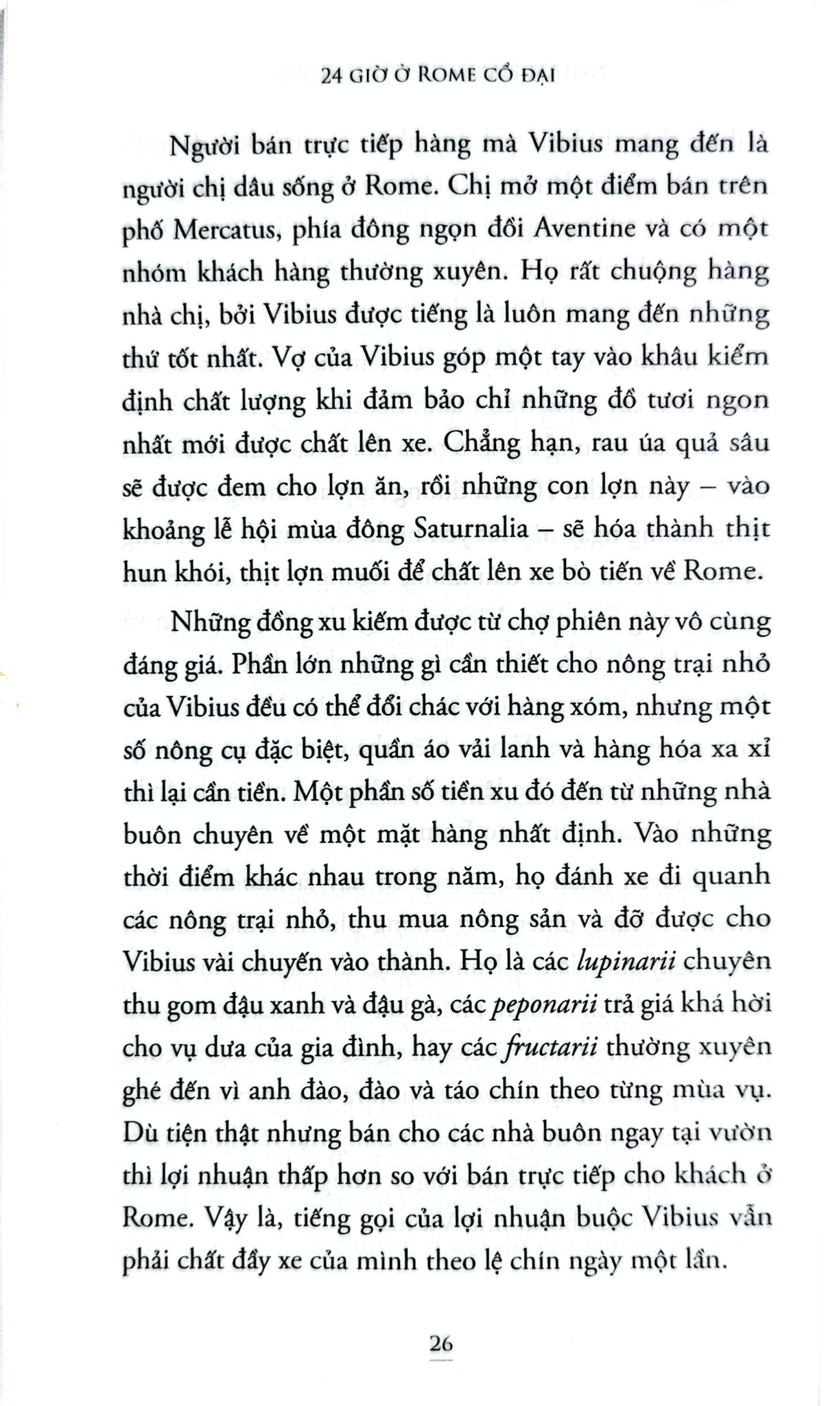 24 Giờ Ở Rome Cổ Đại - Philip Matyszak