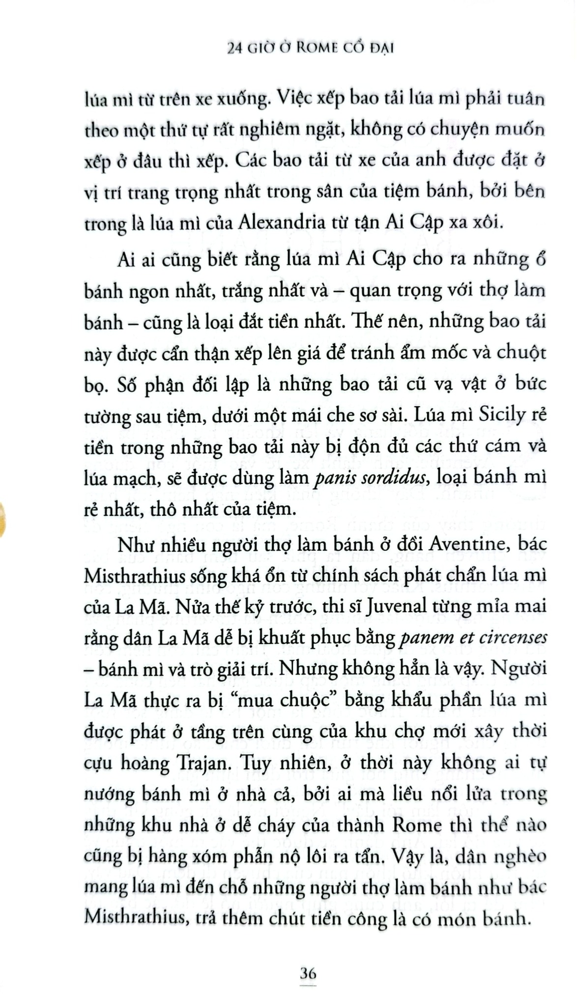 24 Giờ Ở Rome Cổ Đại - Philip Matyszak