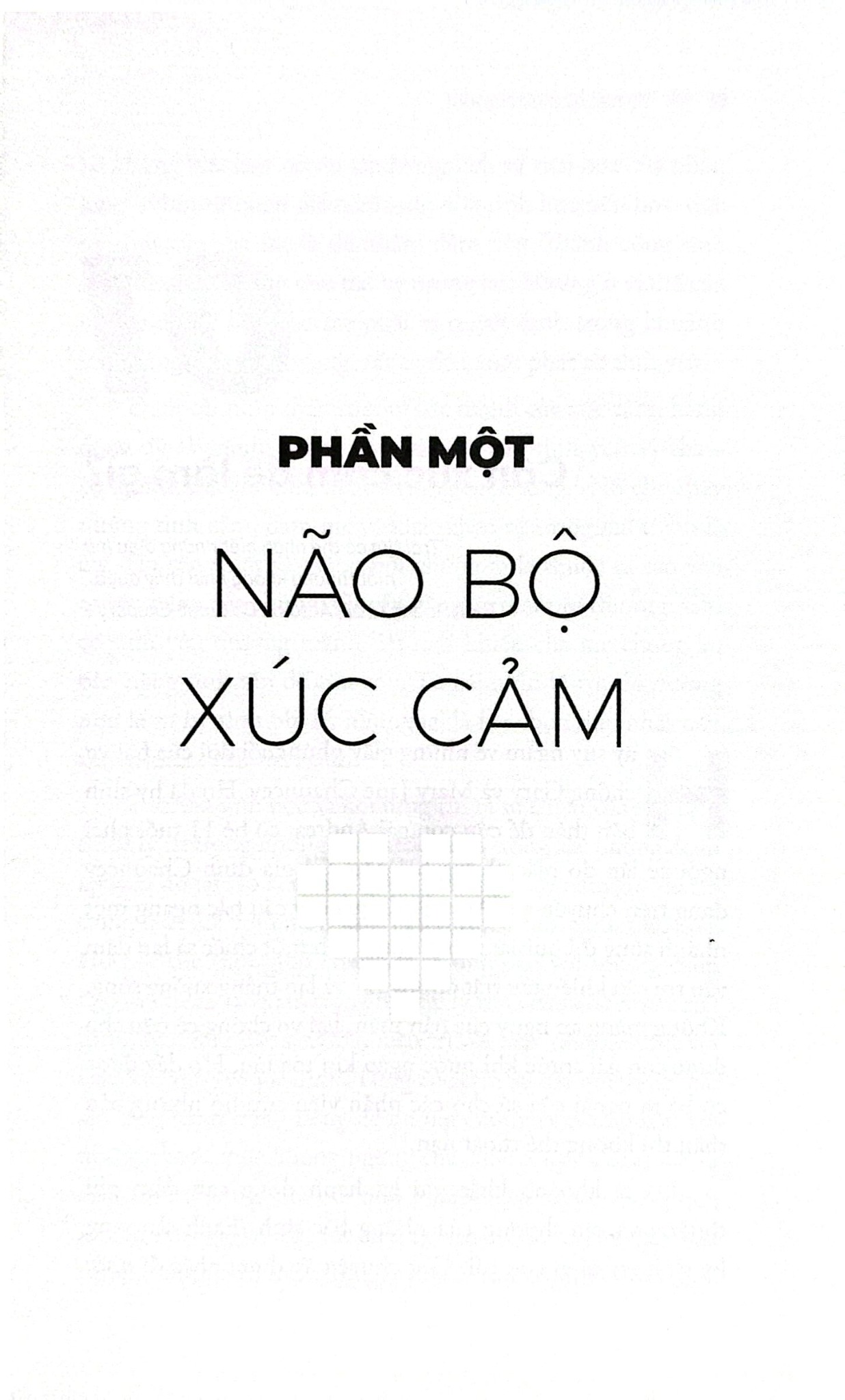 Trí Tuệ Xúc Cảm - Emotional Intelligence - Khổ Nhỏ -  
Daniel Goleman