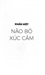 Trí Tuệ Xúc Cảm - Emotional Intelligence - Khổ Nhỏ -  
Daniel Goleman