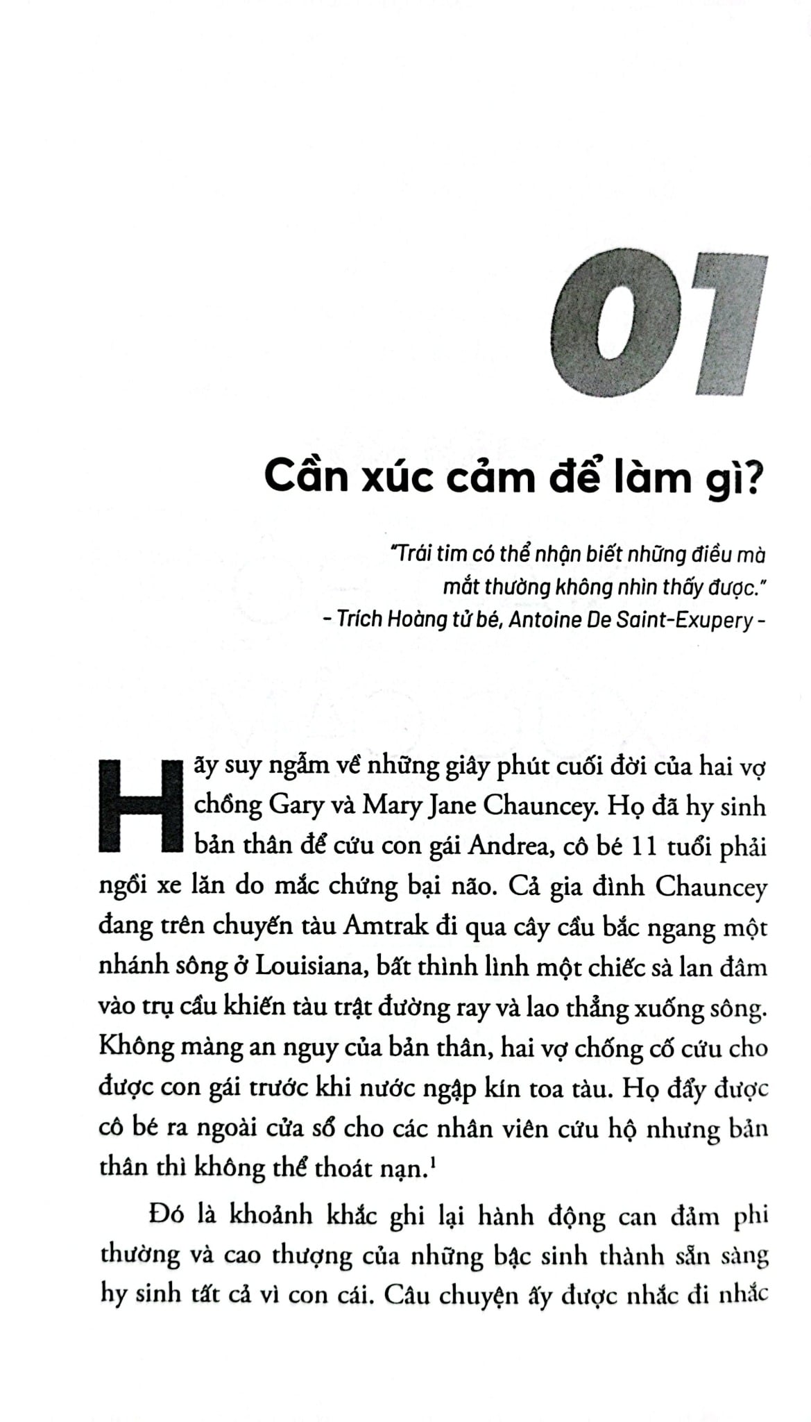Trí Tuệ Xúc Cảm - Emotional Intelligence - Khổ Nhỏ -  
Daniel Goleman