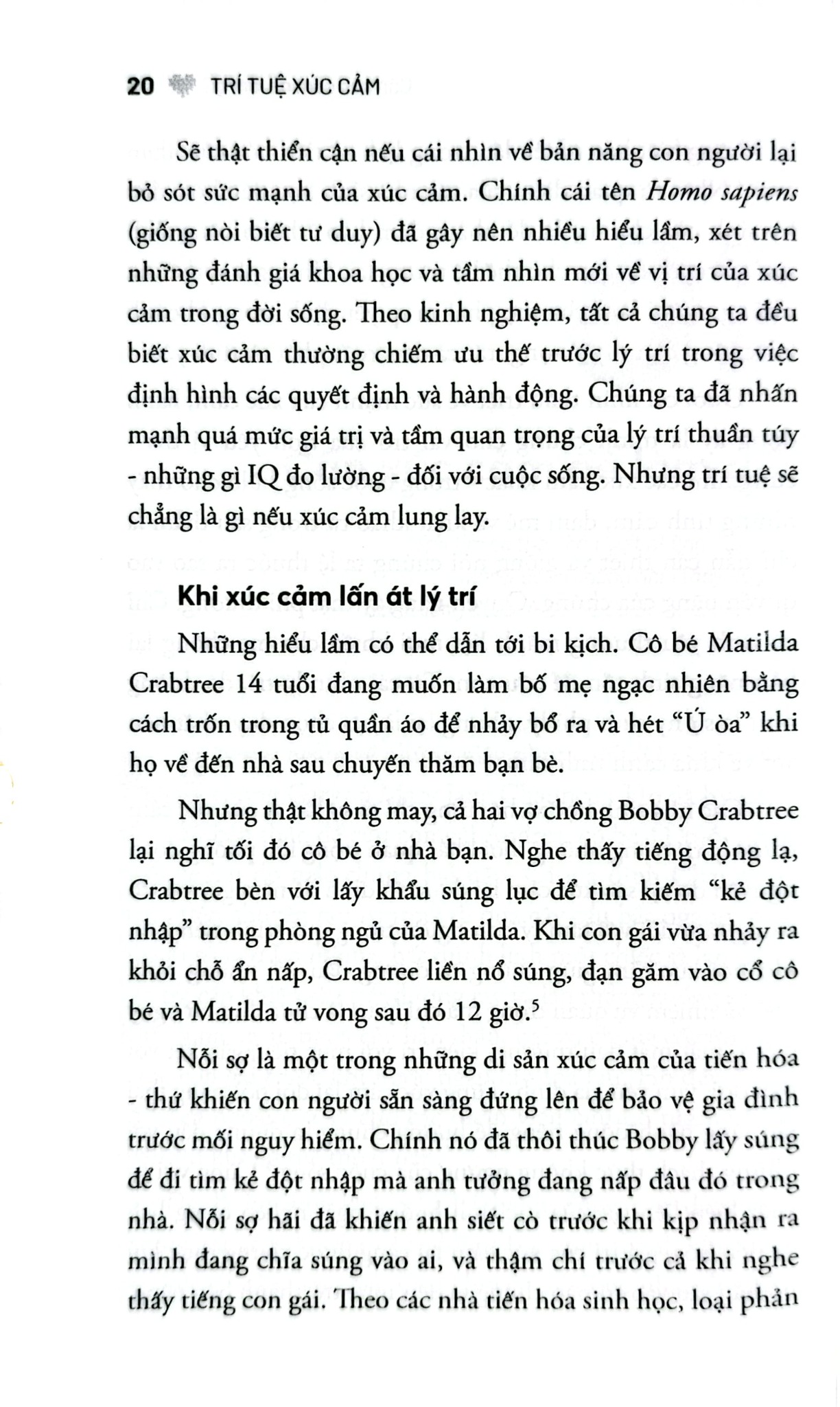 Trí Tuệ Xúc Cảm - Emotional Intelligence - Khổ Nhỏ -  
Daniel Goleman