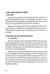 Minh Triết Trong Lối Sống - 
Dr. Reborn