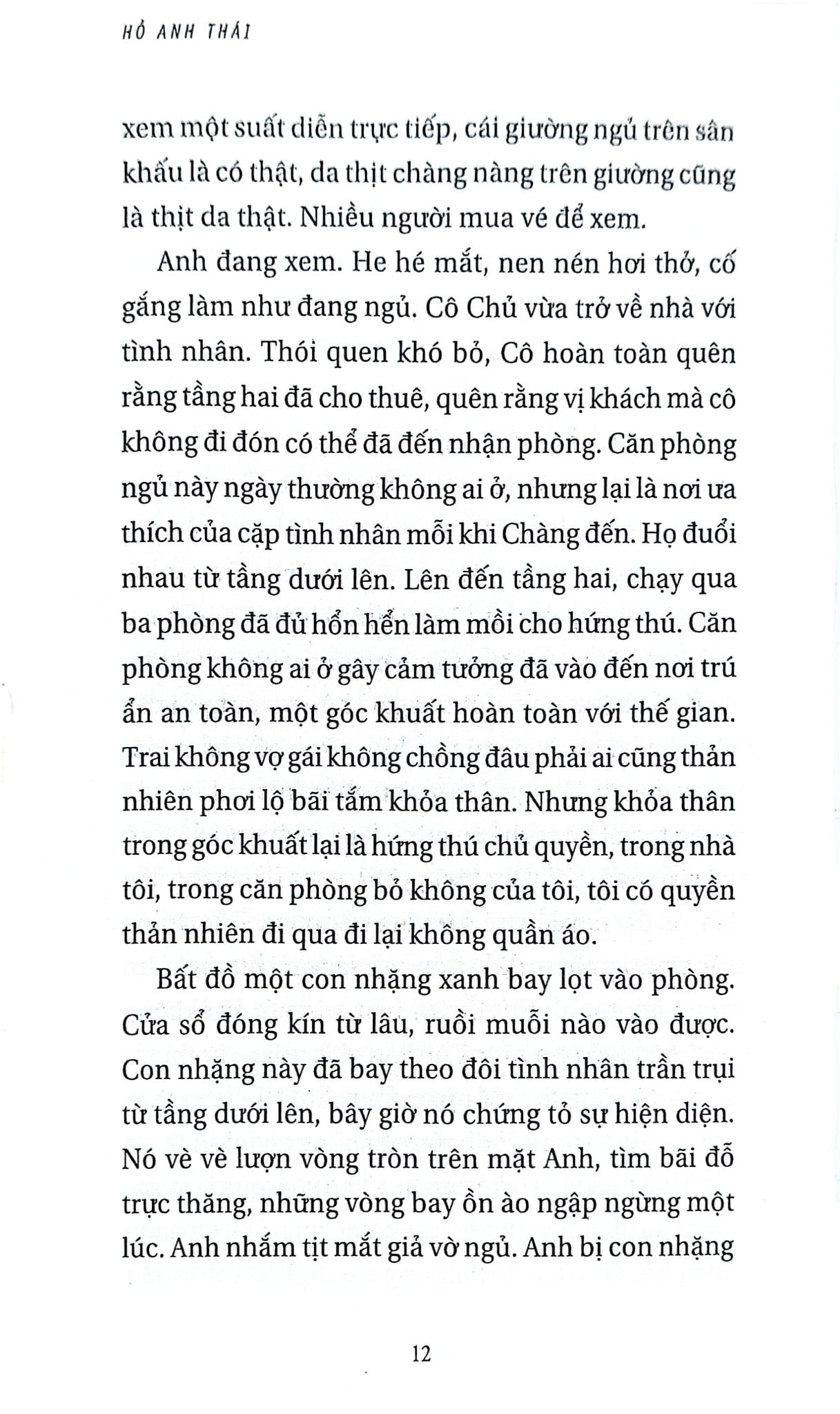 Dấu Về Gió Xóa - Hồ Anh Thái