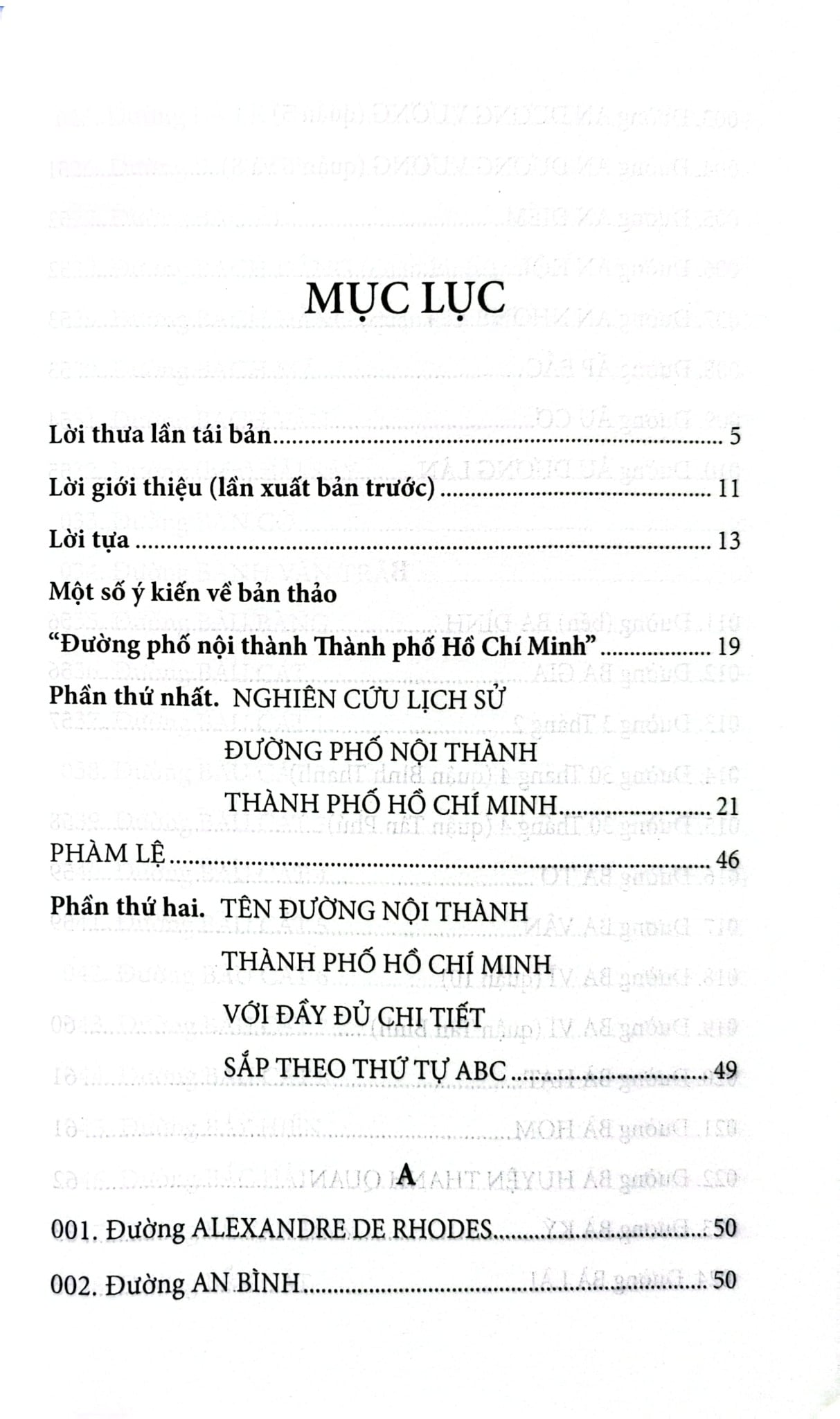 Đường Phố Nội Thành Thành Phố Hồ Chí Minh - Nguyễn Đình Tư