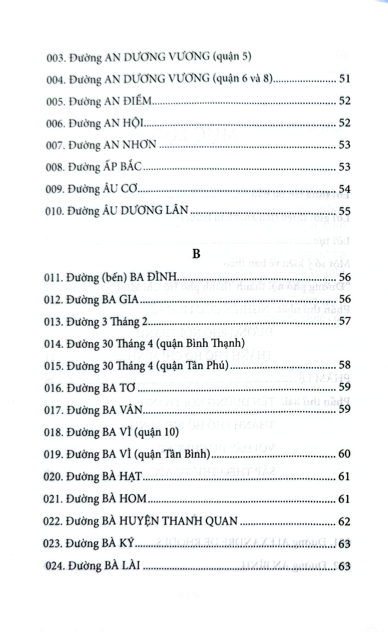 Đường Phố Nội Thành Thành Phố Hồ Chí Minh - Nguyễn Đình Tư