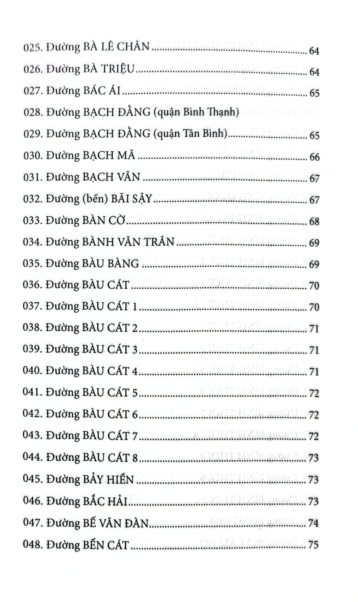 Đường Phố Nội Thành Thành Phố Hồ Chí Minh - Nguyễn Đình Tư