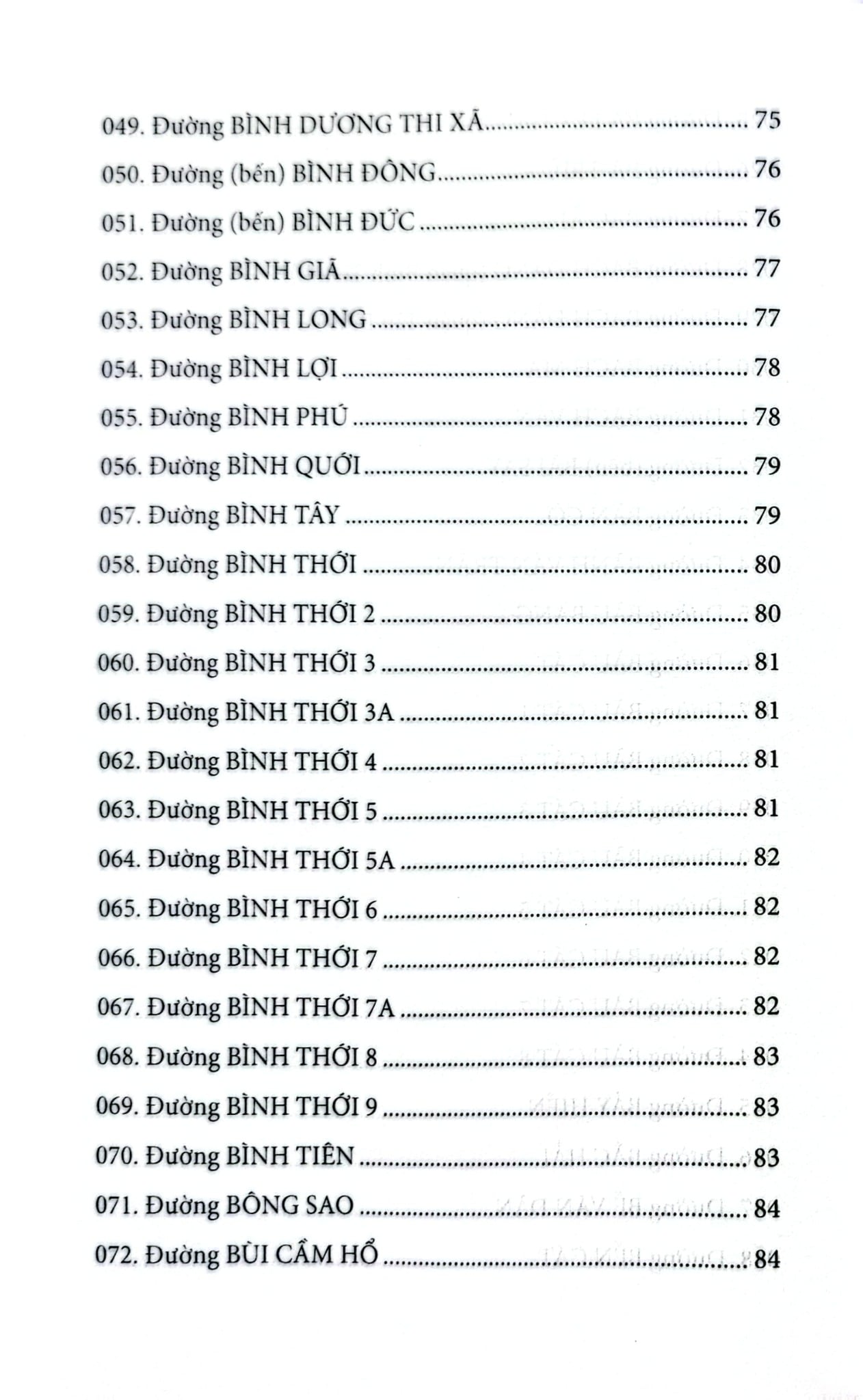 Đường Phố Nội Thành Thành Phố Hồ Chí Minh - Nguyễn Đình Tư