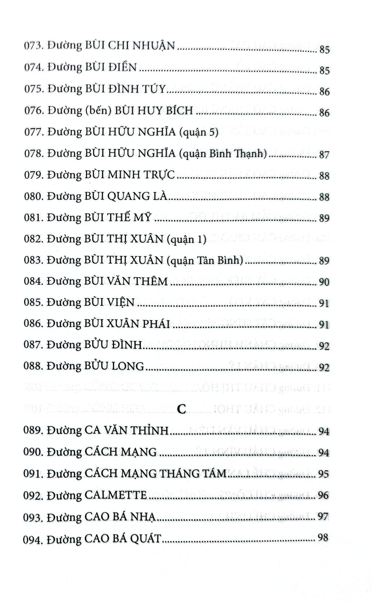 Đường Phố Nội Thành Thành Phố Hồ Chí Minh - Nguyễn Đình Tư