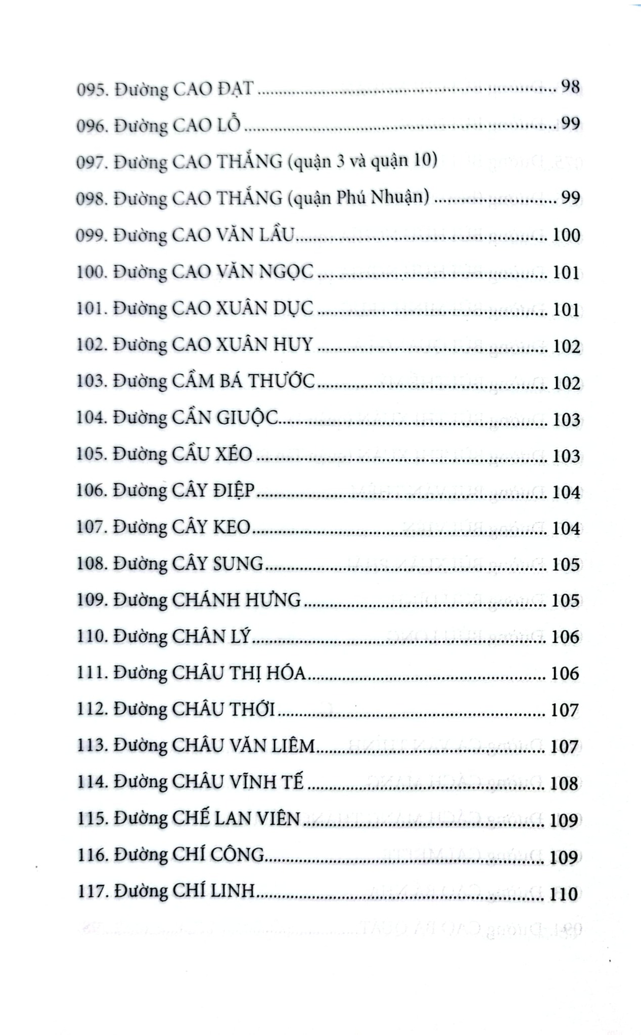 Đường Phố Nội Thành Thành Phố Hồ Chí Minh - Nguyễn Đình Tư