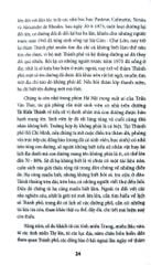 Đường Phố Nội Thành Thành Phố Hồ Chí Minh - Nguyễn Đình Tư