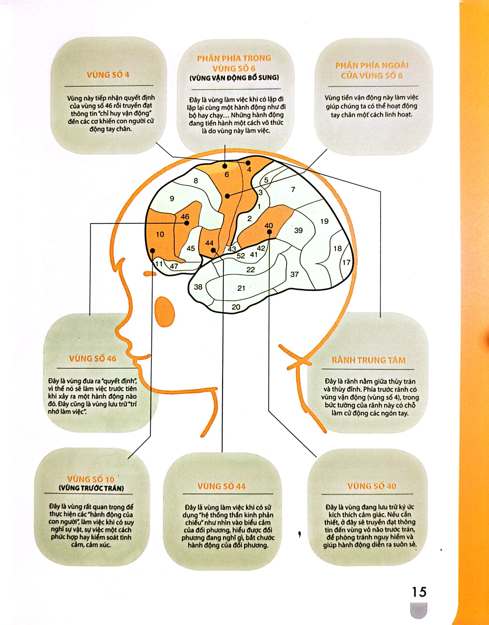 Dạy Con Kiểu Nhật - Giai Đoạn 2 Tuổi - Kubpta Kisou