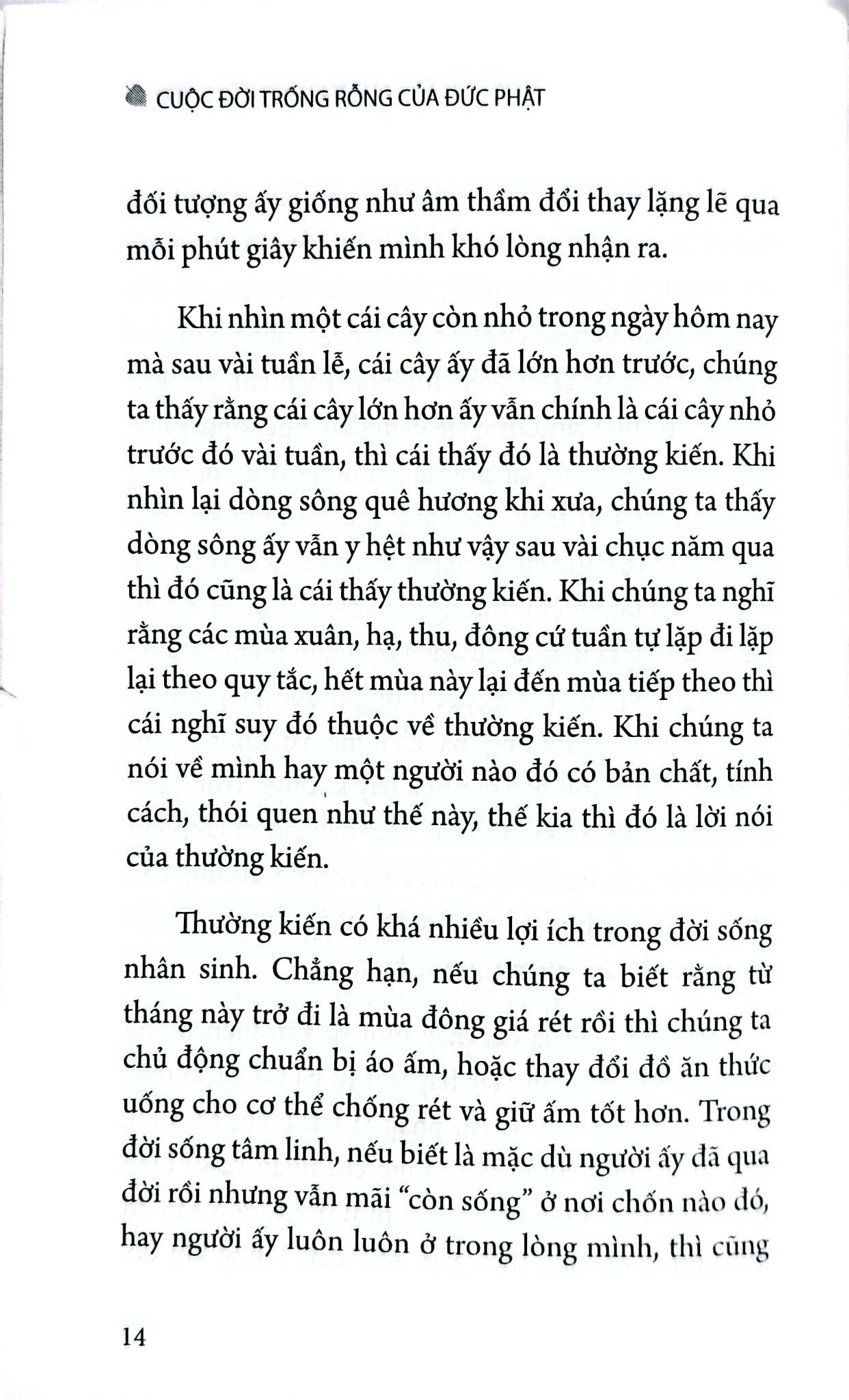Cuộc Đời Trống Rỗng Của Đức Phật - 
Đinh Thanh Tùng