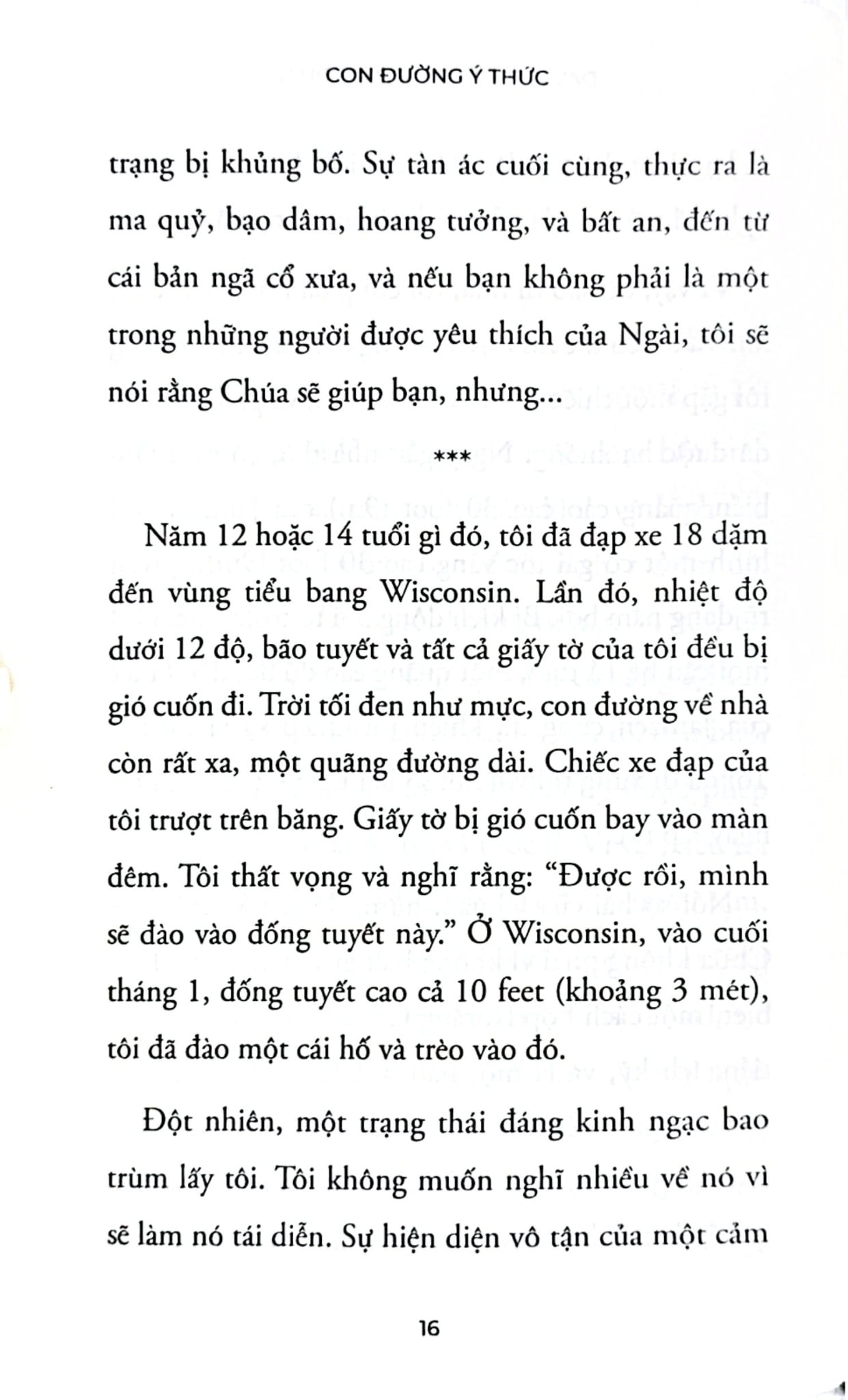 Con Đường Ý Thức - Hành Trình Khai Phá Bản Ngã - Từ Giác Ngộ Đến Tự Do Nội Tại - David R. Hawkins