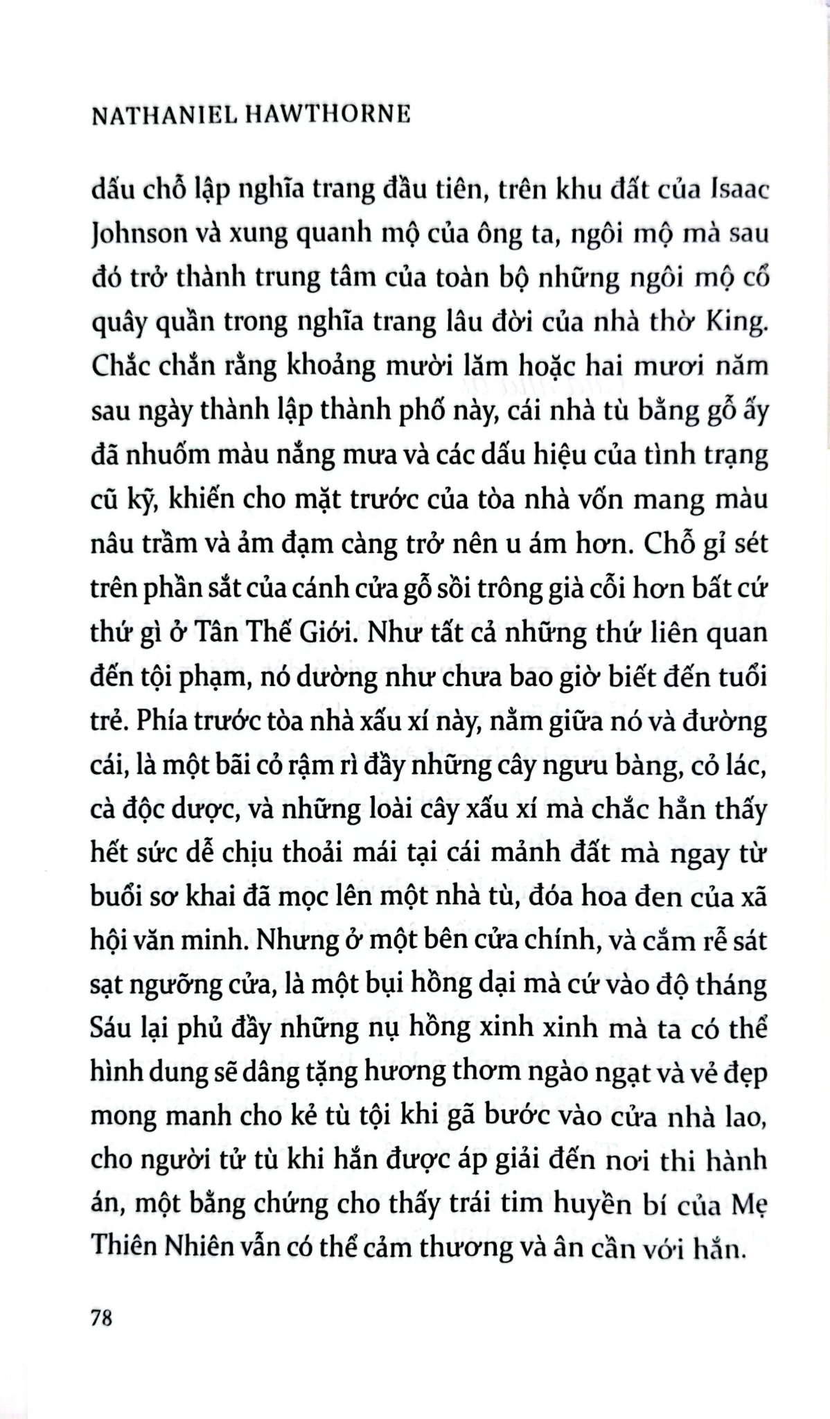 Chữ A Màu Đỏ -  Nathailie Hawthorne
