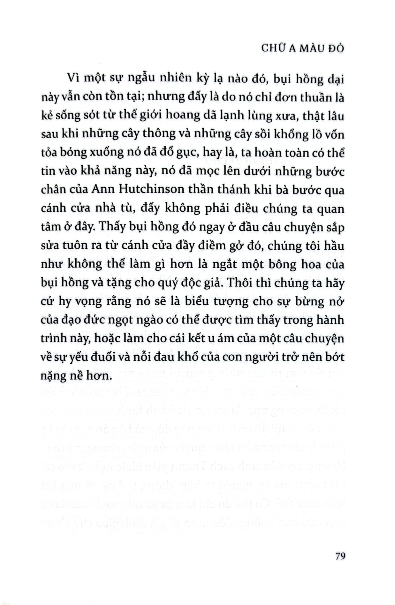 Chữ A Màu Đỏ -  Nathailie Hawthorne