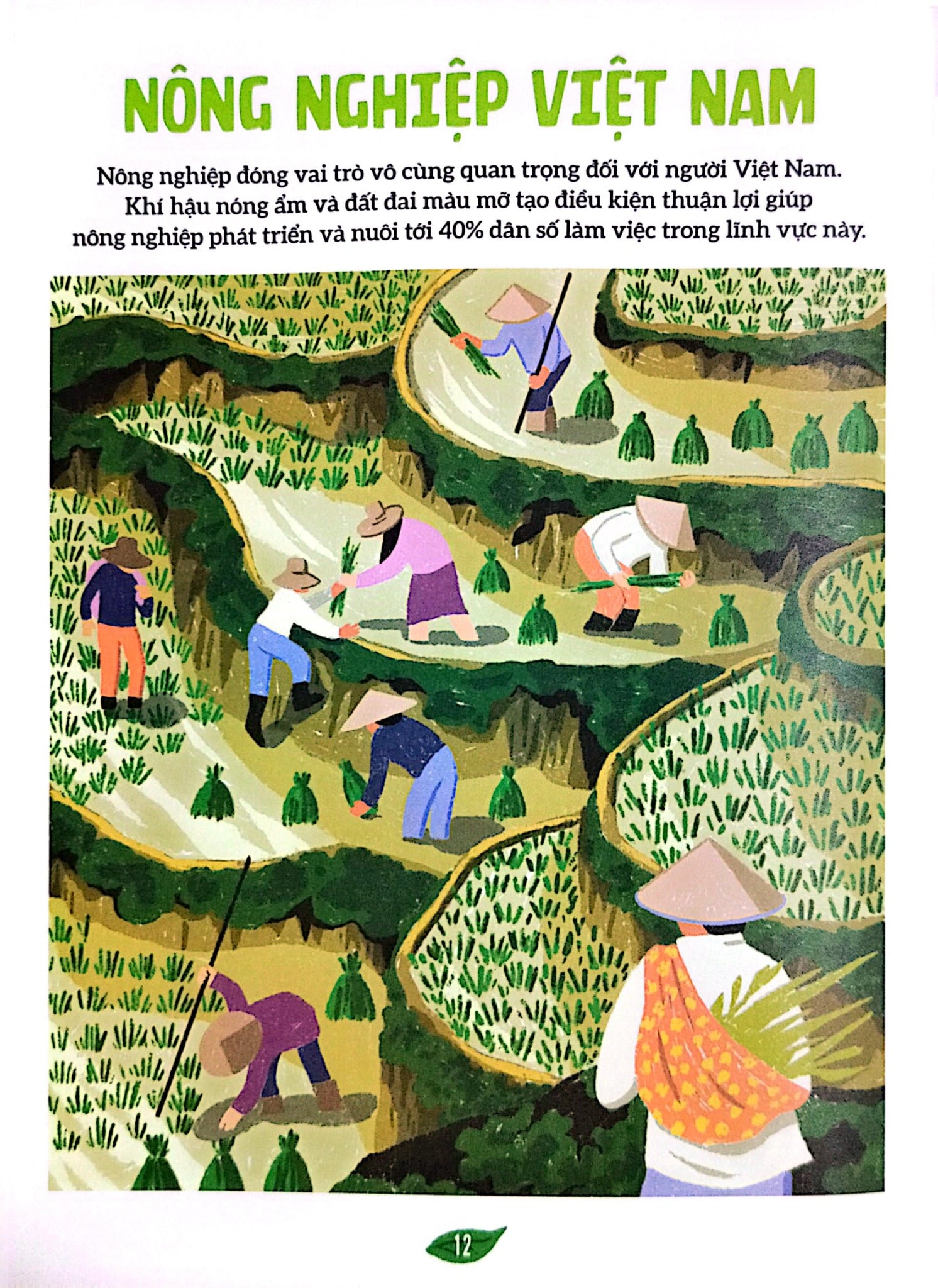 Combo 4 Cuốn Ẩm Thực Qua Tranh - Những Công Thức Và Giai Thoại Đặc Sắc ( Việt Nam + Nhật Bản + Trung Quốc + Hàn Quốc )