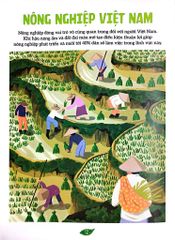 Combo 4 Cuốn Ẩm Thực Qua Tranh - Những Công Thức Và Giai Thoại Đặc Sắc ( Việt Nam + Nhật Bản + Trung Quốc + Hàn Quốc )