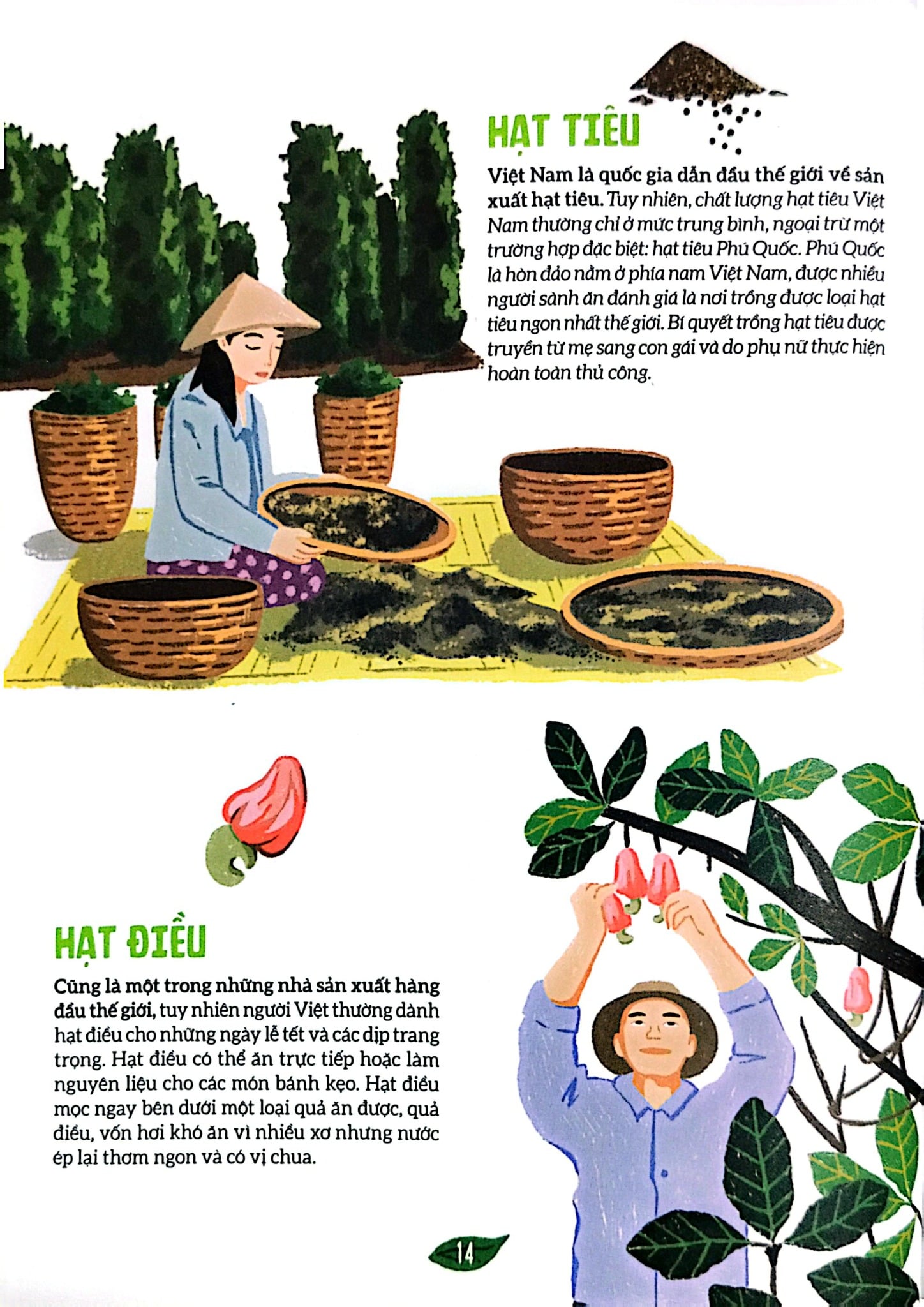 Ẩm Thực Việt Nam Qua Tranh - Những Công Thức Và Giai Thoại Đặc Sắc - Nathalie Nguyen, Mélody Ung