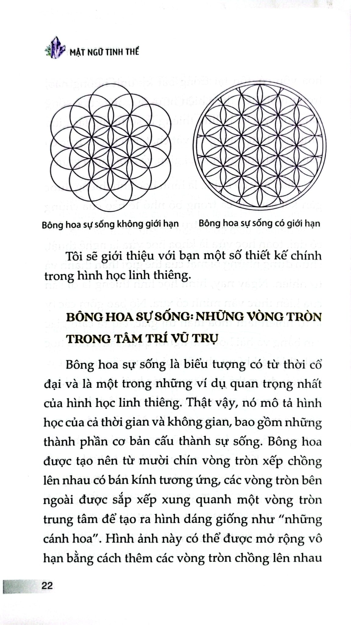 Mật Ngữ Tinh Thể - Judy Hall