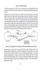 Giáo Trình Kĩ Thuật Mạng Truyền Thông - PGS.TS. Nguyễn Tiến Ban