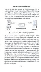 Giáo Trình Kĩ Thuật Mạng Truyền Thông - PGS.TS. Nguyễn Tiến Ban