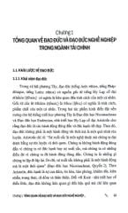 Giáo Trình Tiêu Chuẩn Đạo Đức Hành Nghề Và Quản Trị Doanh Nghiệp - Nhiều Tác Giả