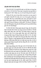 Thu Nhập Thụ Động - 
Rachel Richards