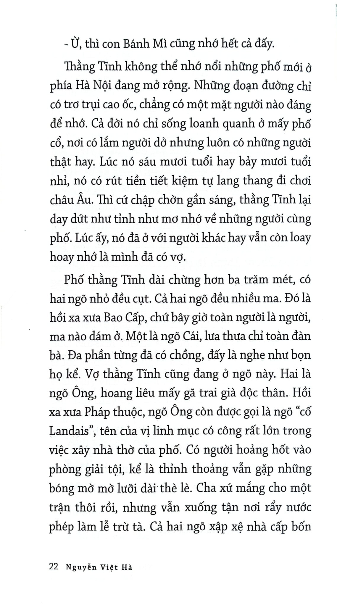 Thị Dân Tiểu Thuyết - Nguyễn Việt Hà