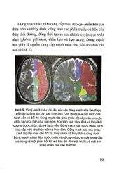 Đột Quỵ Não Những Điều Thiết Yếu Trong Thực Hành Lâm Sàng - PGS.TS. Tạ Mạnh Cường