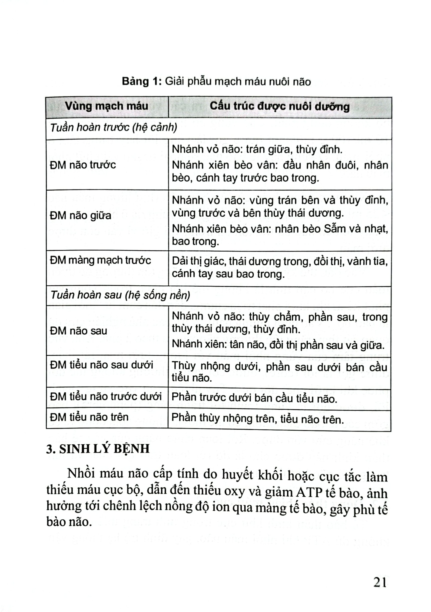 Đột Quỵ Não Những Điều Thiết Yếu Trong Thực Hành Lâm Sàng - PGS.TS. Tạ Mạnh Cường