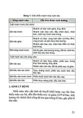 Đột Quỵ Não Những Điều Thiết Yếu Trong Thực Hành Lâm Sàng - PGS.TS. Tạ Mạnh Cường