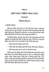 Đột Quỵ Não Những Điều Thiết Yếu Trong Thực Hành Lâm Sàng - PGS.TS. Tạ Mạnh Cường