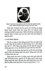 Đột Quỵ Não Những Điều Thiết Yếu Trong Thực Hành Lâm Sàng - PGS.TS. Tạ Mạnh Cường