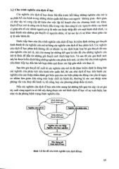 Dịch Tế Học Cơ Bản (Sách Dùng Cho Các Dối Tượng Đại Học) - ĐH Y Hà Nội